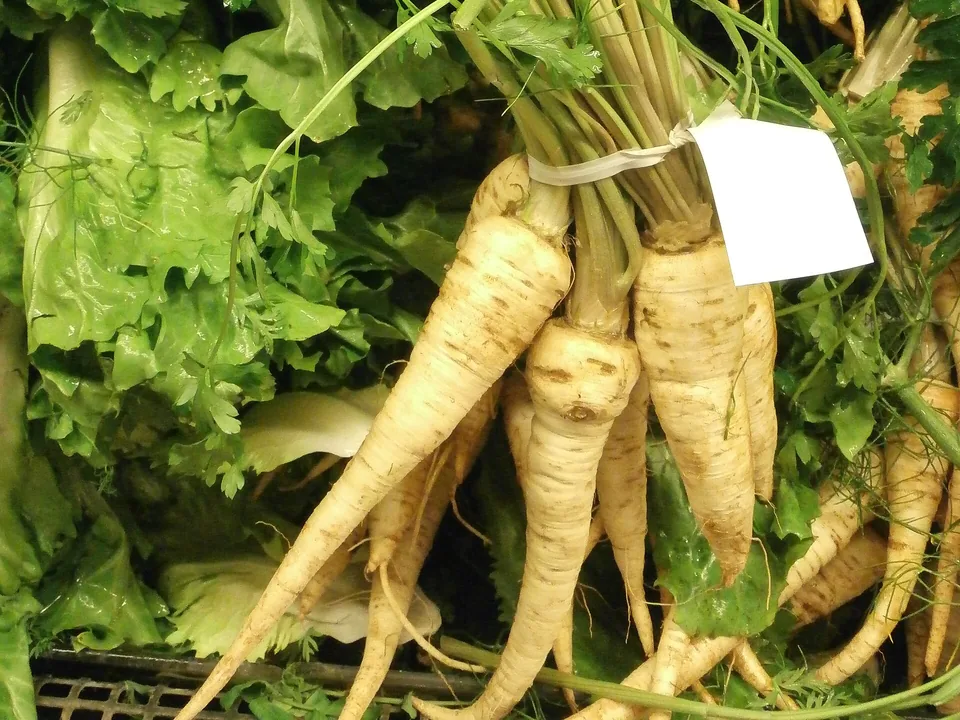 Cream-colored parsnips with fresh green tops