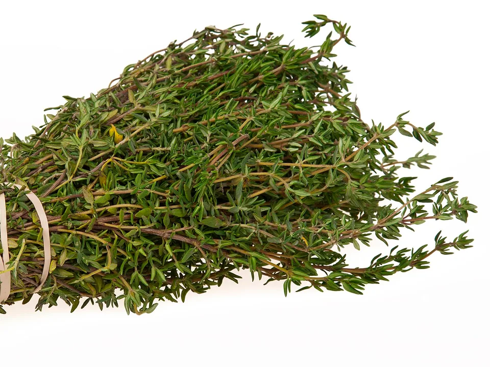 A small bundle of fresh thyme sprigs